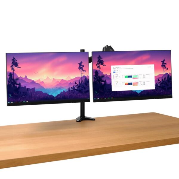 MONITOR ACC ARM DUAL/MARA 25337 TRUST - Image 2