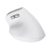 MOUSE USB OPTICAL WRL BAYO II/ERGO WHT 25398 TRUST - Image 6