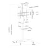 TV SET ACC FLOOR STAND BLACK/37-70" PLASMA-M1900E NEOMOUNTS - Image 3