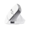 MOUSE USB OPTICAL WRL BAYO II/ERGO WHT 25398 TRUST - Image 3