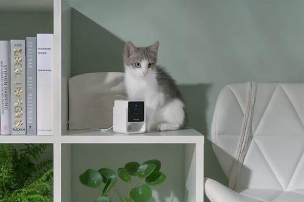 WRL CAMERA HD/CC10US PETCUBE - Image 6