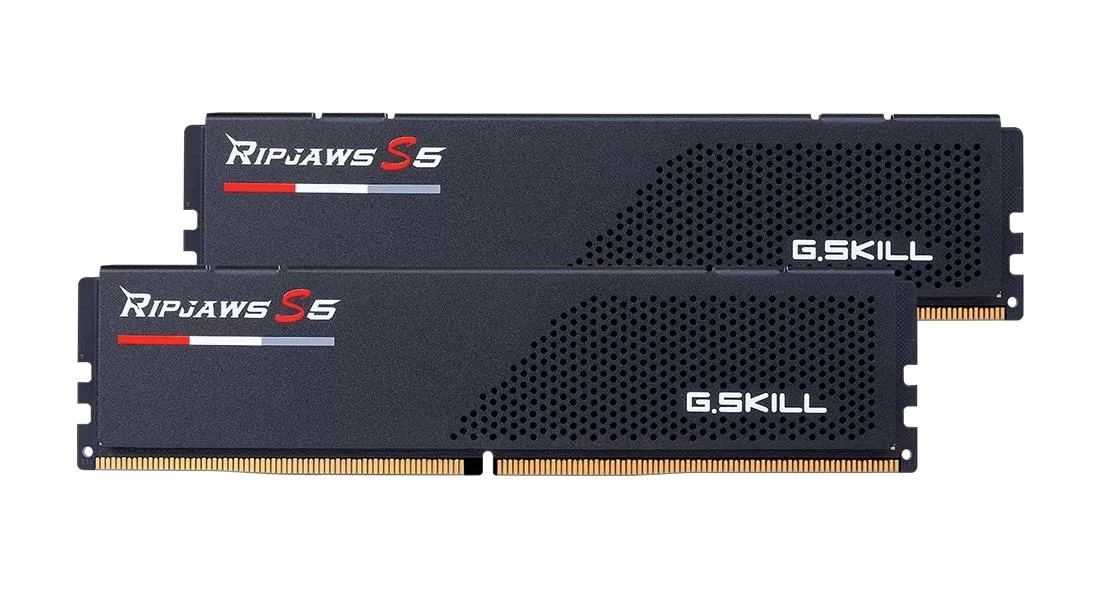 G.skill mälu F5 F5-6000J3636F32GX2-RS5K