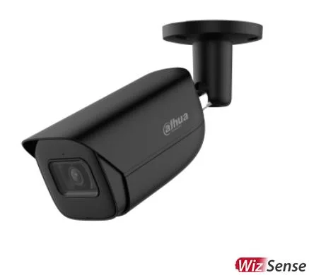 Dahua toruIP-kaamera 4MP IPC-HFW2449T IPC-HFW2449T-ASIL0360B-B