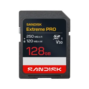 SanDisk mälu SDSDXXJ-128G