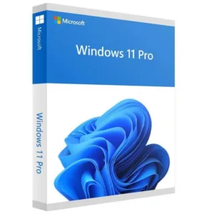 Microsoft Win Pro HAV-00163 — litsents