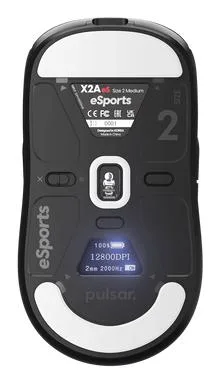Pulsar Mouse USB Optical WRL ES Black PX2AES21