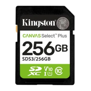 Kingston mälu SDS3 SDS3/256GB